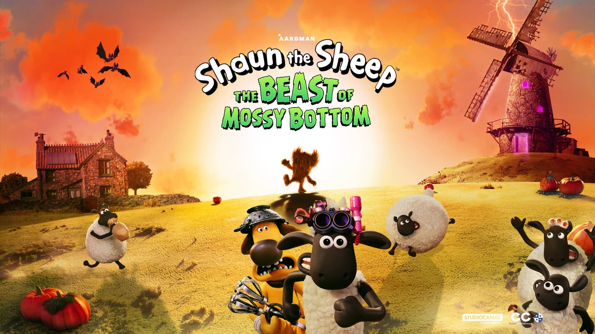 shaun